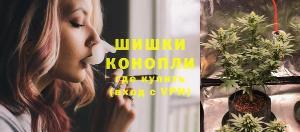 прущая мука Няндома