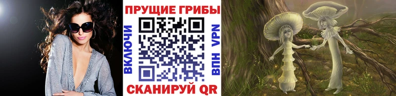 Псилоцибиновые грибы Magic Shrooms  Североморск 